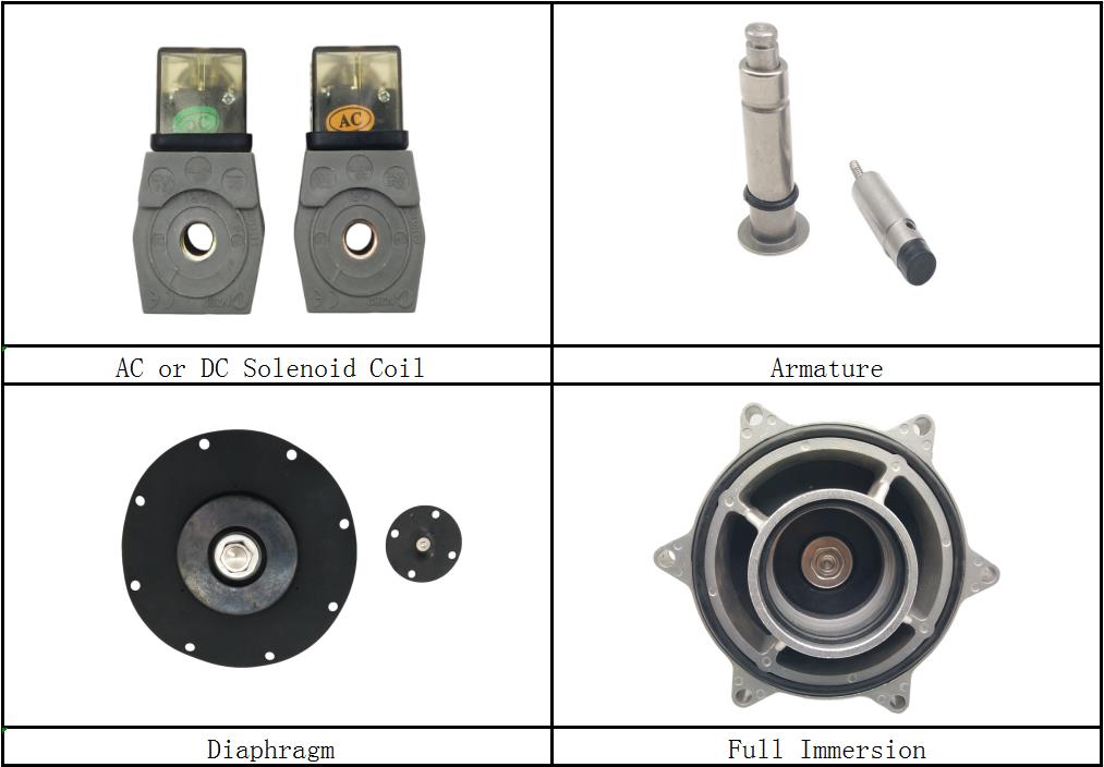 Details About CA76MM Submerged Pulse Valve: