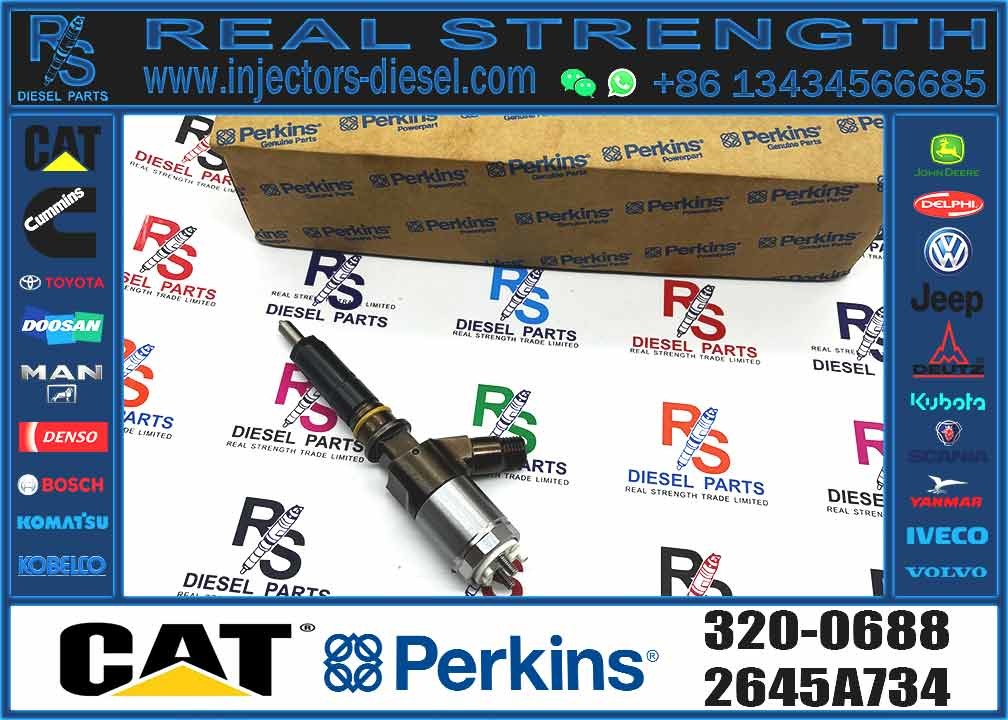 C6.6 C6.4 Engine Diesel Fuel Injectors 3200680 2645A747 320-0680 For CAT 323D Excavator
