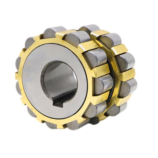 150752305 double row cylindrical roller bearing 25x68.2x42mm Motorcycle bearings
