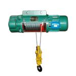 Customized Design Wireless Remote Control Electric Hoist For Crane