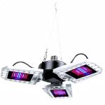 Grow Light Indoor and Outdoor Full Spectrum Plant Light Transformable red blue