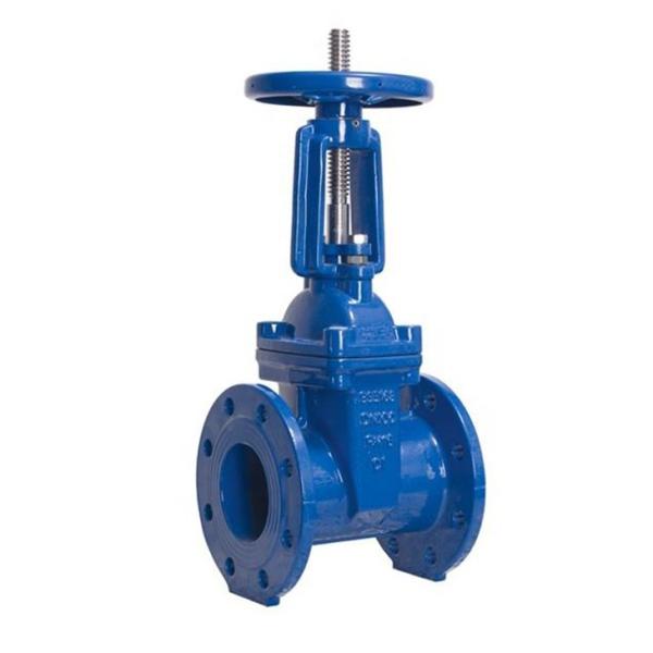 Asme B16.10 Dn50 Non Rising Stem Asme B16.1 Cl 125 300psi Stainless Steel Gate