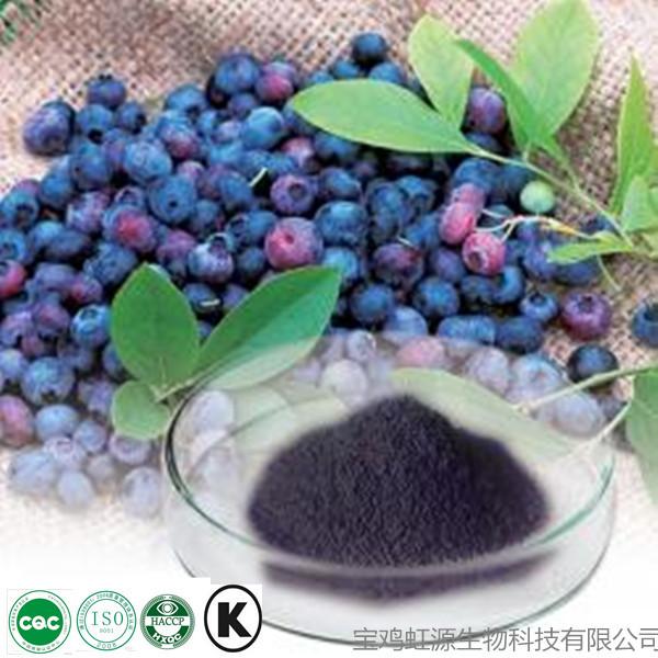 Best quality purity fresh bilberry extract 5% 10%