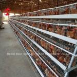 Angle Bar Frame Poultry Battery Cage System H Type Layer Chicken Cage Africa