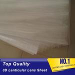PLASTIC LENTICULAR different lpi Lenticular sheet china 50lpi pet clear plastic