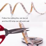DC12V WS2815 RGBIC LED Pixel Strip Light Individually Addressable For Residentia