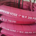 Flexible High Pressure Steam Hose Braided Parker Rubber Dryer Steam Hose