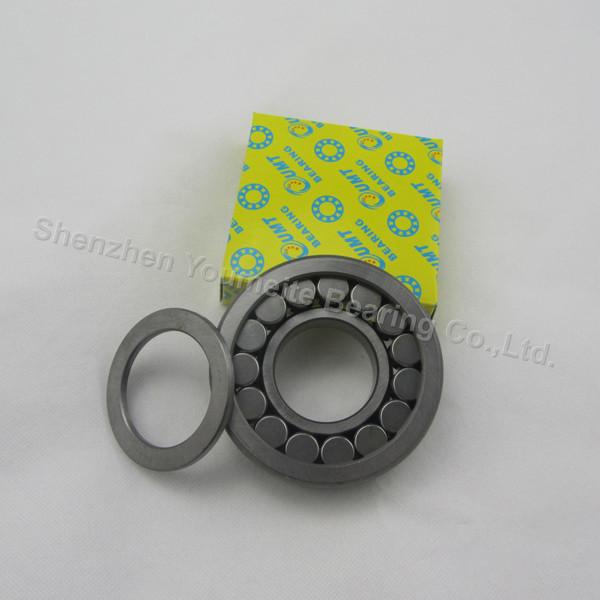 Stainless steel double row roller bearing for ATV parts , NU NJ NUP N NF 215 216