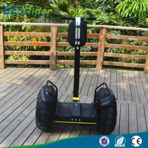 China Self Balance 2 Wheel Electric Scooter 2000watts Off Road Segway Scooters For Adults factory