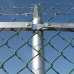 Galvanized Steel Wire Stock Farm Guard Field Fence for Grassland at Affordable