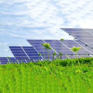 China Hot Dip Galvanized Steel Solar Panel Ground Mounting Systems Ground Plant Pile factory
