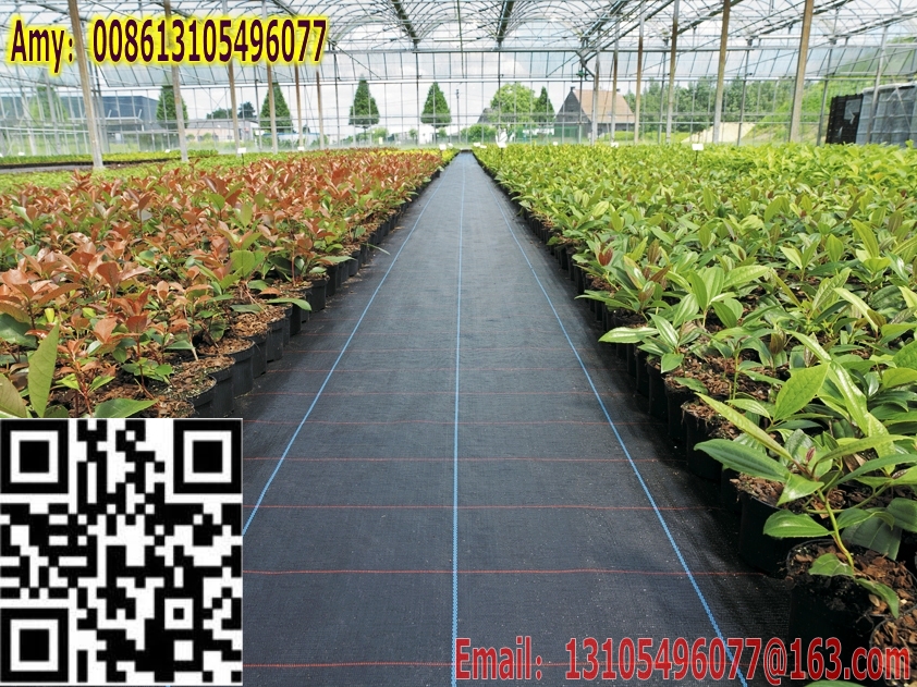 weed barrier ground cover weed mat landscape mat silt fence fabric (52).jpg