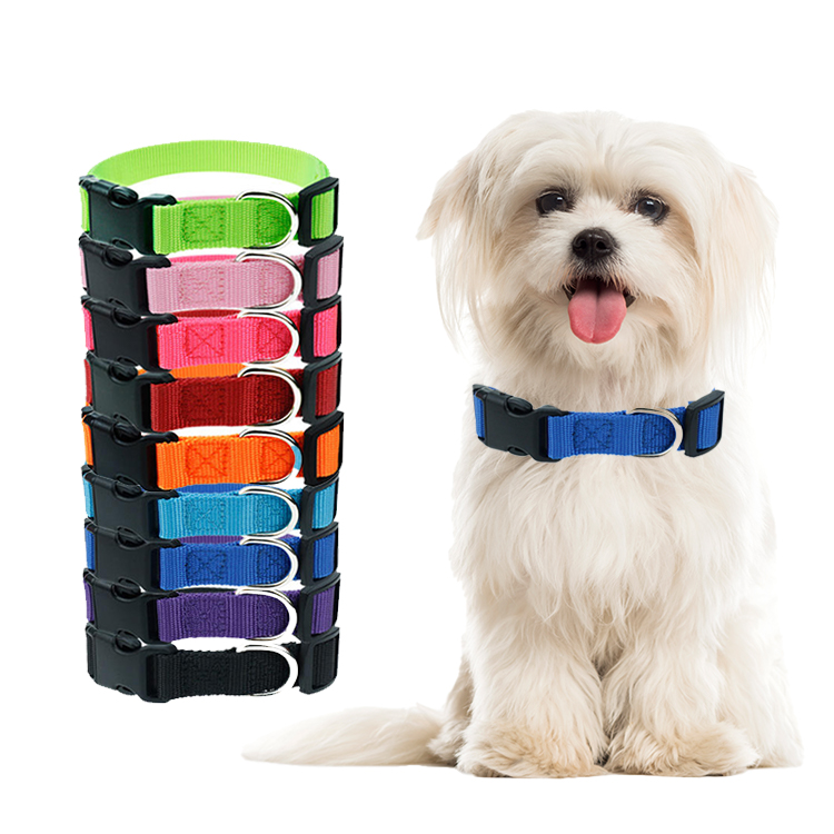 Pet Blank Plain Personalized Nylon Dog Collar Sustainable Dog Leash And Collar