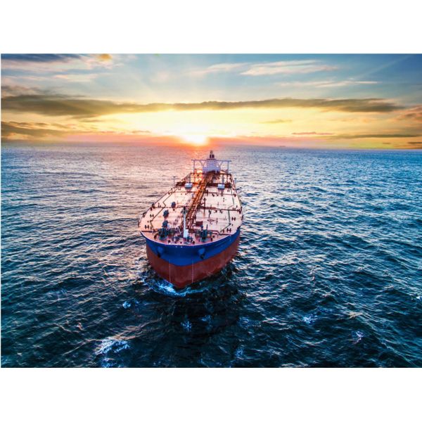 China FCL LCL Shipping Line Agency From China To America Canada factory