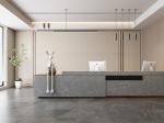 W.A 0.5% Durable Interior Wall Big Slabs And Gray Porcelain Sintered Stone Slab
