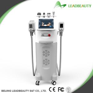 China Multifunction cryolipolysis slimming beauty machine/cryotherapy machine factory