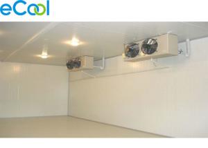China 120 Cubic Meter Mini Cold Storage Panels Assembling For Fruits And Vegetables factory