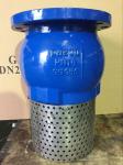 Water Oil Liquid FOOT VALVE with ANSI Flanged End
