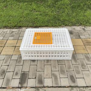 China Spacious Poultry Transport Cages Enhanced Safety And Cleaning factory