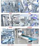 100g-1kg Rotary Bag Packing Machine For Powder