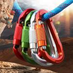 25kN Aluminum Alloy D-shape Snap Hook Carabiner for Professional-grade Climbing