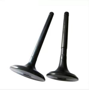 China TEM Toyota 1HZ Intake Engine Valve 13711-17010 Exhaust Valve 17315-17010 1HZ Engine Parts factory