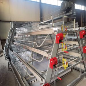 China SGS A Frame Broiler Baby Chick Cage OEM With Ventilation System factory