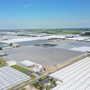 China Double Layer Illuminated Growing Structure for Hydroponic Seedlings in Multi Span factory