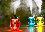 Small Cute humidifier usb commercial 5v ultrasonic humidifier portable 2019