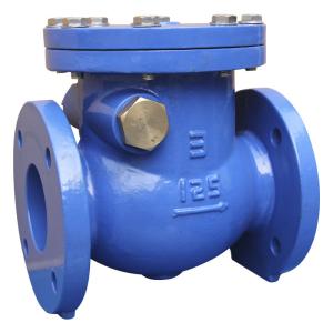 China Lightweight Cast Iron Check Valve MS SP - 71 Class 125 / 150 Easy To Install factory