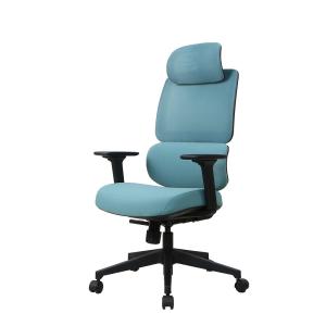 China BIFMA Nylon Mesh High Back Desk Chair Home Office Chair With Adjustable Headrest Desk Chair factory