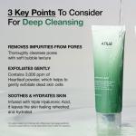 Korean Heartleaf Quercetinol Moisturizing Facial Cleanser Foam BHA Hyaluronic