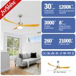 5 Speeds 220V Wood Plastic Ceiling Fan Energy Efficient DC Motor