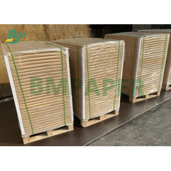 100lb Text Paper Glossy