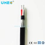 Low Voltage XLPE Insulated Concentric Cable with Stranded Copper/Aluminum