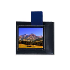 China Durable OLED Screen 0.6 Inch Micro OLED Panel 800*600 Pixels High-resolution factory