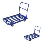 Stainless Steel Platform Trolley With Customizable Color And Wheels