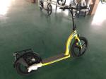36-48V Electric Scooter Cycle With Removable Battery 30km/H