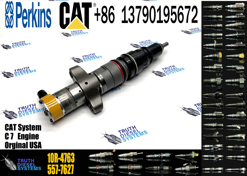 Diesel Engine Parts Common Rail Injector 10R-4763 20R-8059 20R-8057 243-4503 20R-8071 295-9166 20R-8067 20R-8057