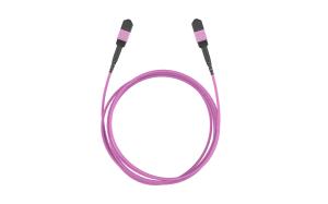 China OEM 1310Nm 1550Nm Mpo Fiber Patch Cord Low Loss factory