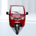 12V Voltage 3 Wheels Motorcycle Motorized Cargo Tricycle 10-20L