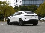 Dual Motor BEV In Electric Vehicles Luxury Version 4 Seats Plain White Avita 11