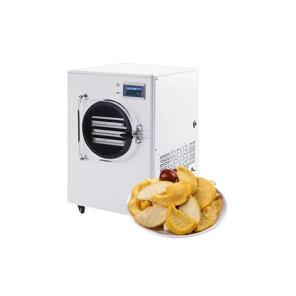 Hot Selling Food & Beverage Machinery Dehydrator Dryer Mini Freeze Drying
