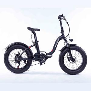 China 20 Inch Electric Folding Fat Bike 350w 36v Battery Waterproof In Rain factory