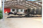stainless steel green facade factory