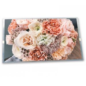 TCG085WVLCU-G00 Lcd Screen 8.5 Inch Lcd Monitor