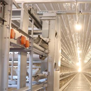 China 6 tier 192 Birds / Set Automatic Battery Cage System Layer Chicken factory