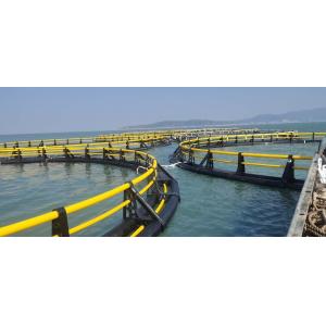 HDPE Pipe Circular Floating Fish Cages The Ultimate Solution for Sea Storm