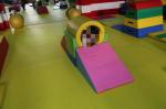 Children soft play area with competitive price Education Game Jigsaw Puzzle Kids