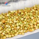 180KG Small automatic ginger washing machine potato cleaning and peeling machine